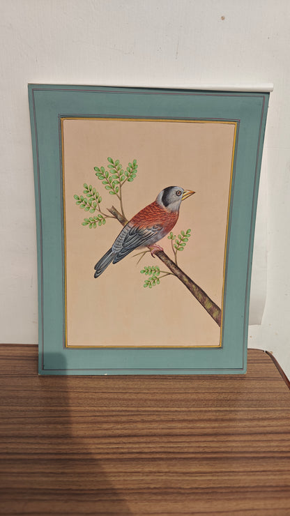 Mughal Miniature Bird & Botanical Painting | Hand-Painted on Paper | Indian Miniature Art | 8x10 inch
