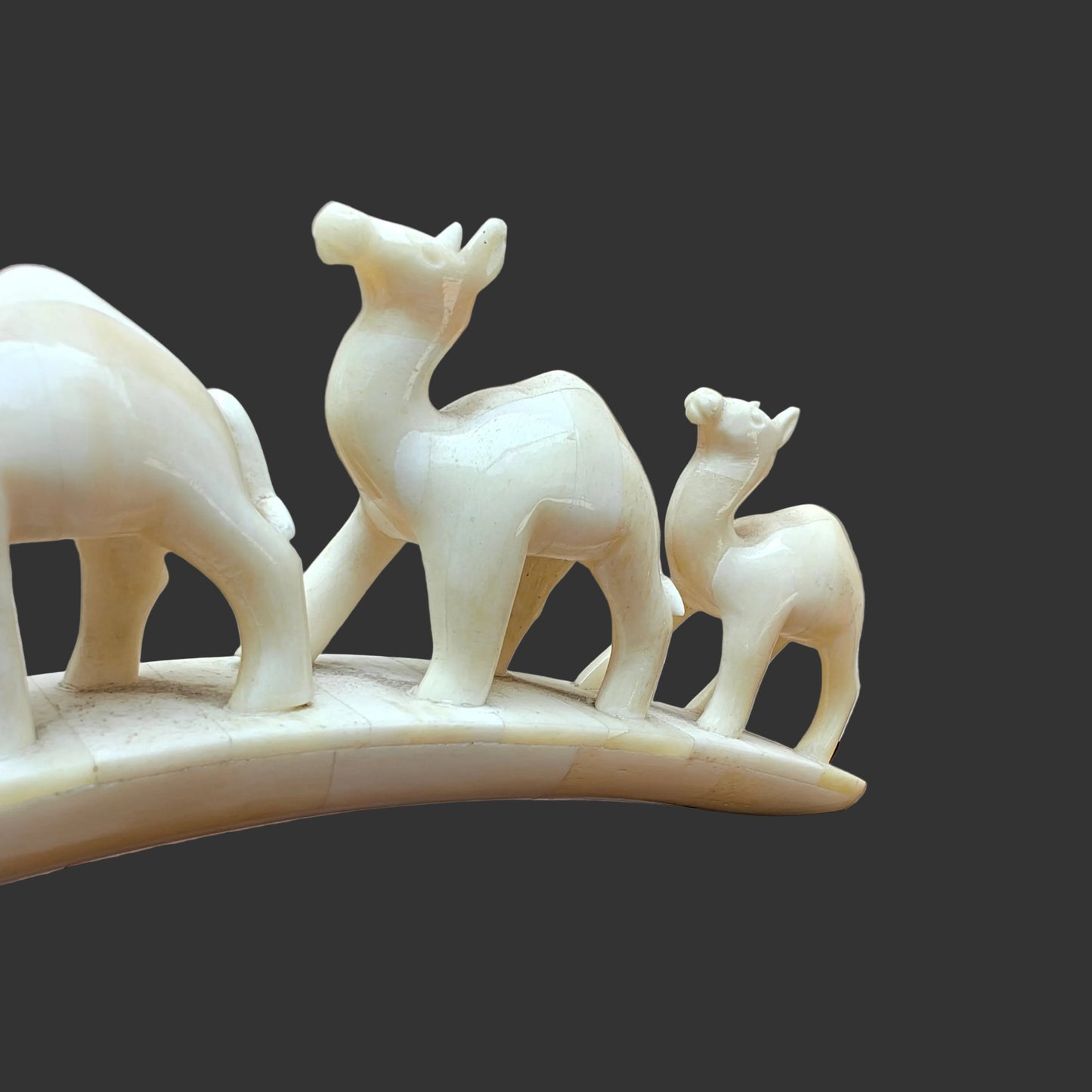 Carved Bone Animal Parade on Arch – 4 Elephants & 4 Camels