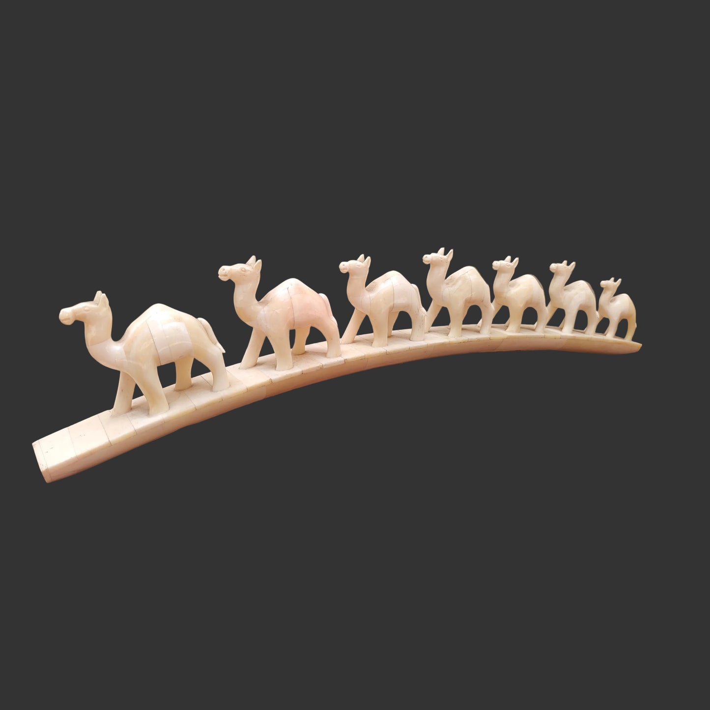 Carved bone camel parade on arched base displayed