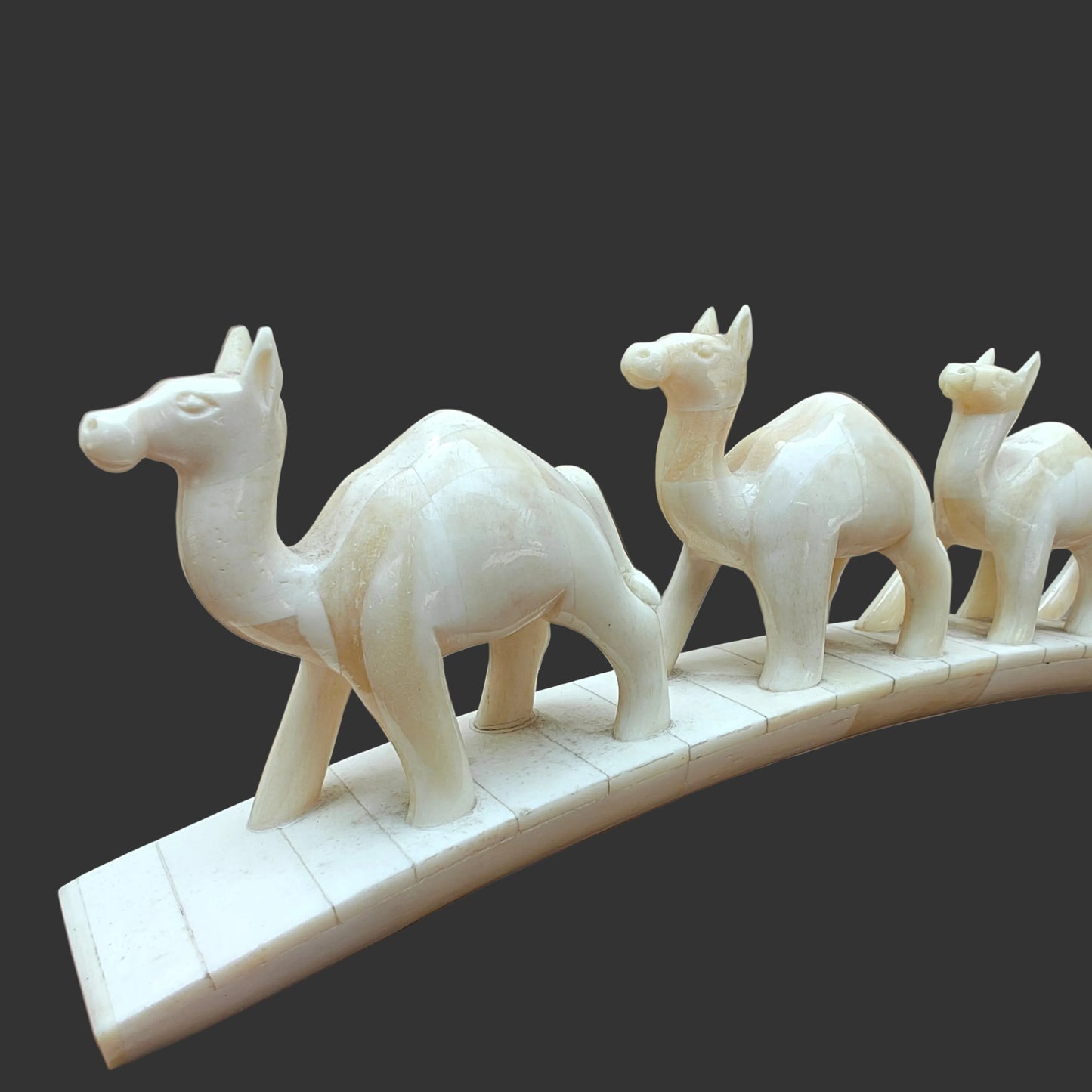 Side view of carved bone camel parade showing camels walking across arched base
