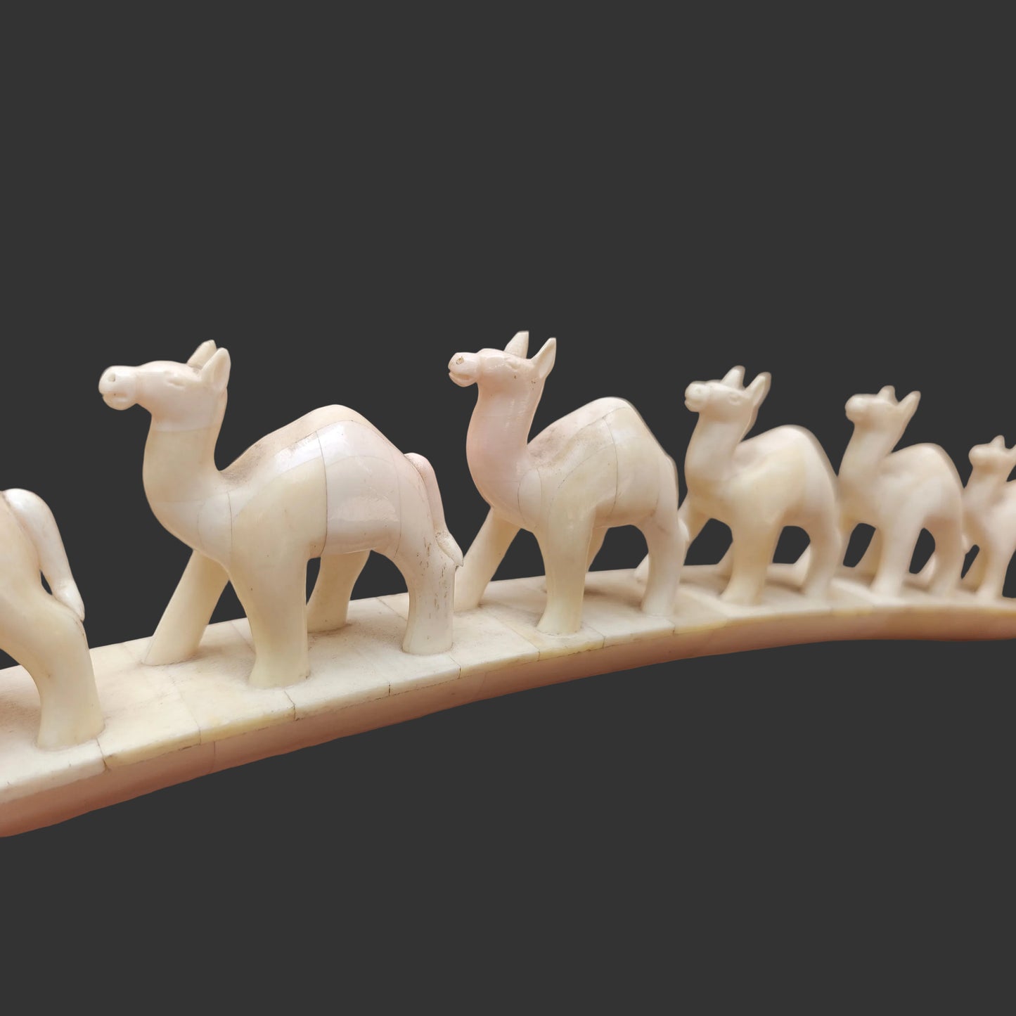 Close-up of carved bone camels standing in a row on arched base