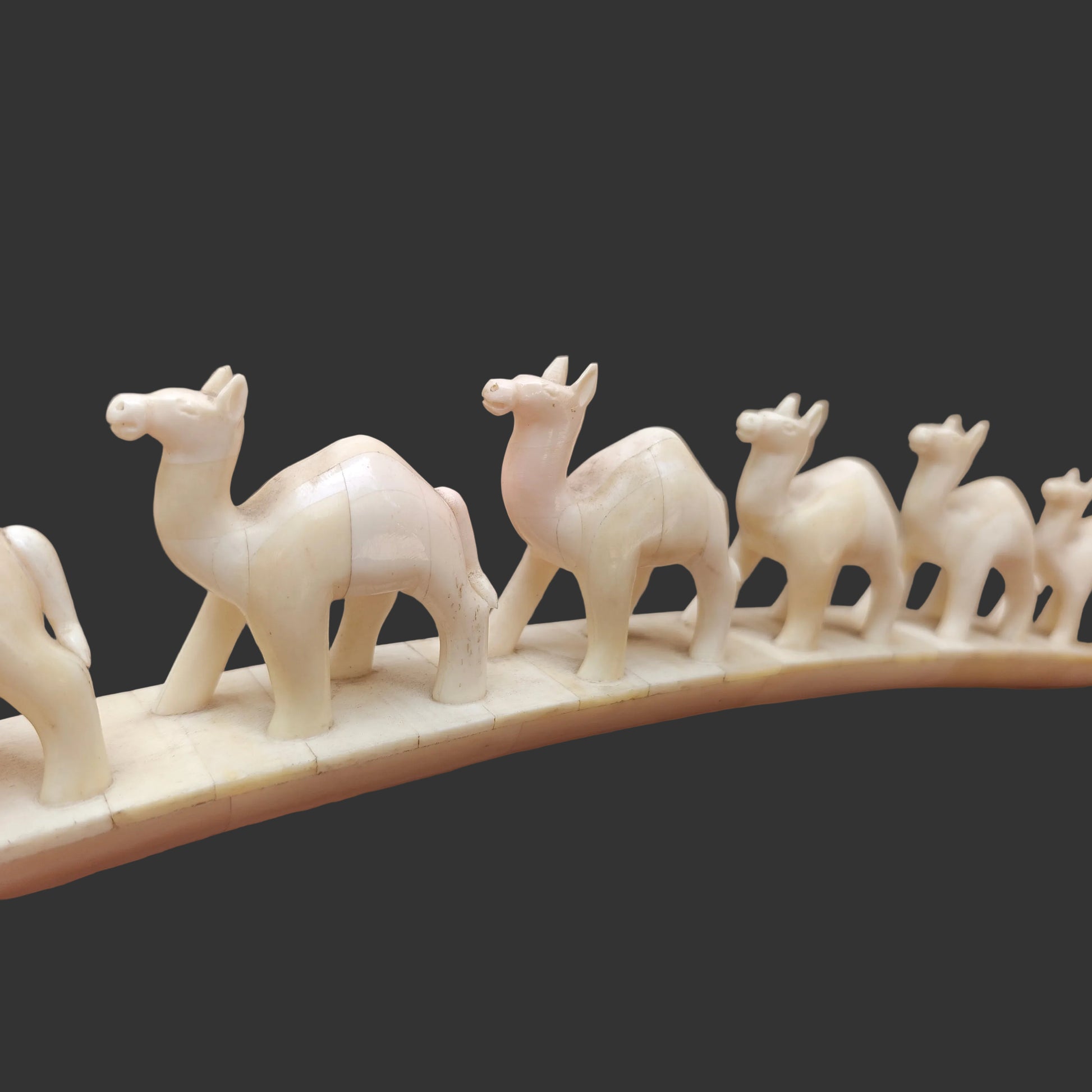 Close-up of carved bone camels standing in a row on arched base