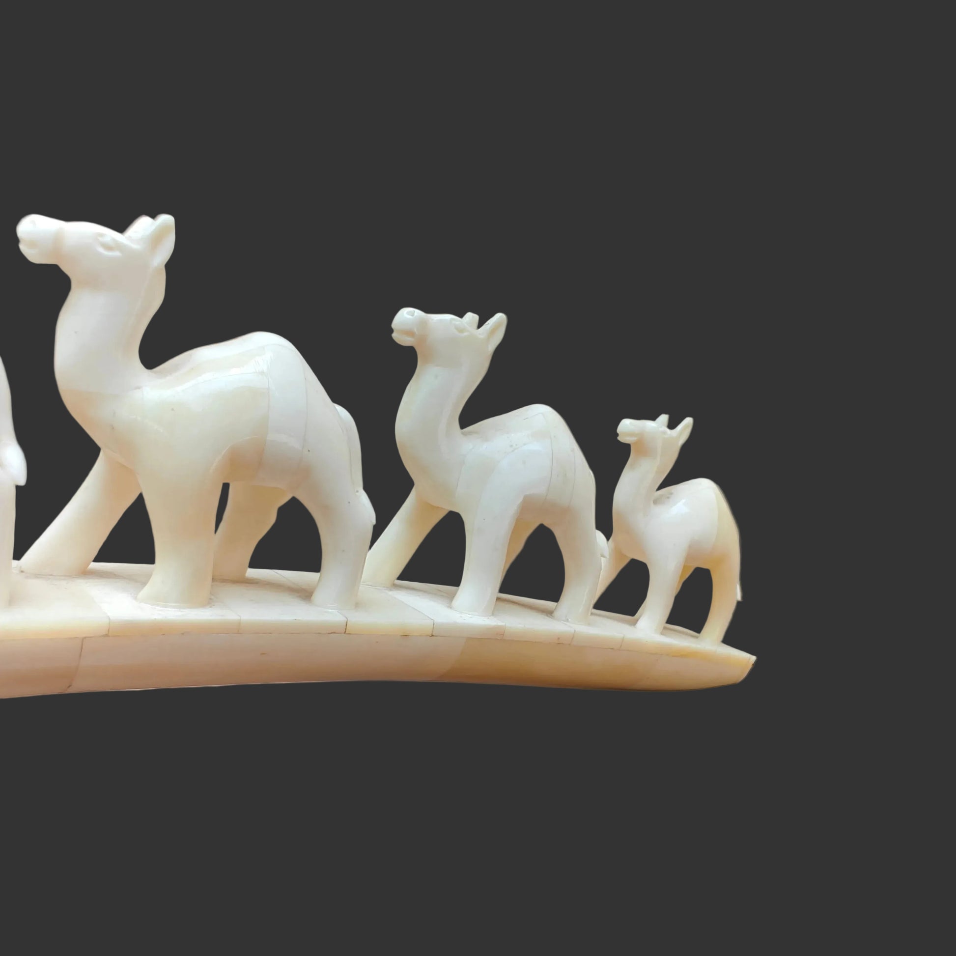 Close-up of carved bone camels standing in a row on arched base