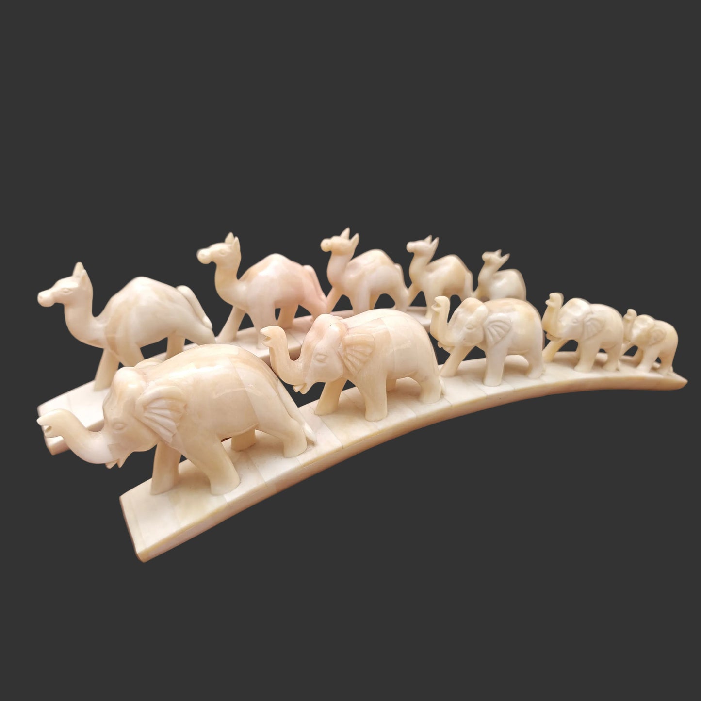 Carved bone camel elephant parade on arched base displayed