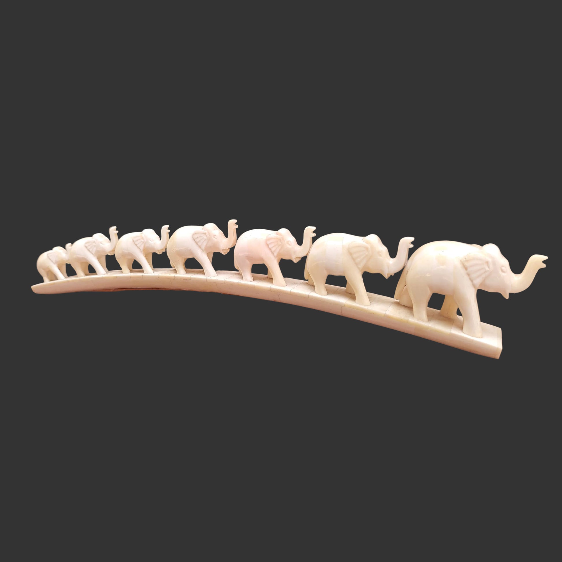 Carved bone elephant parade on arched base displayed