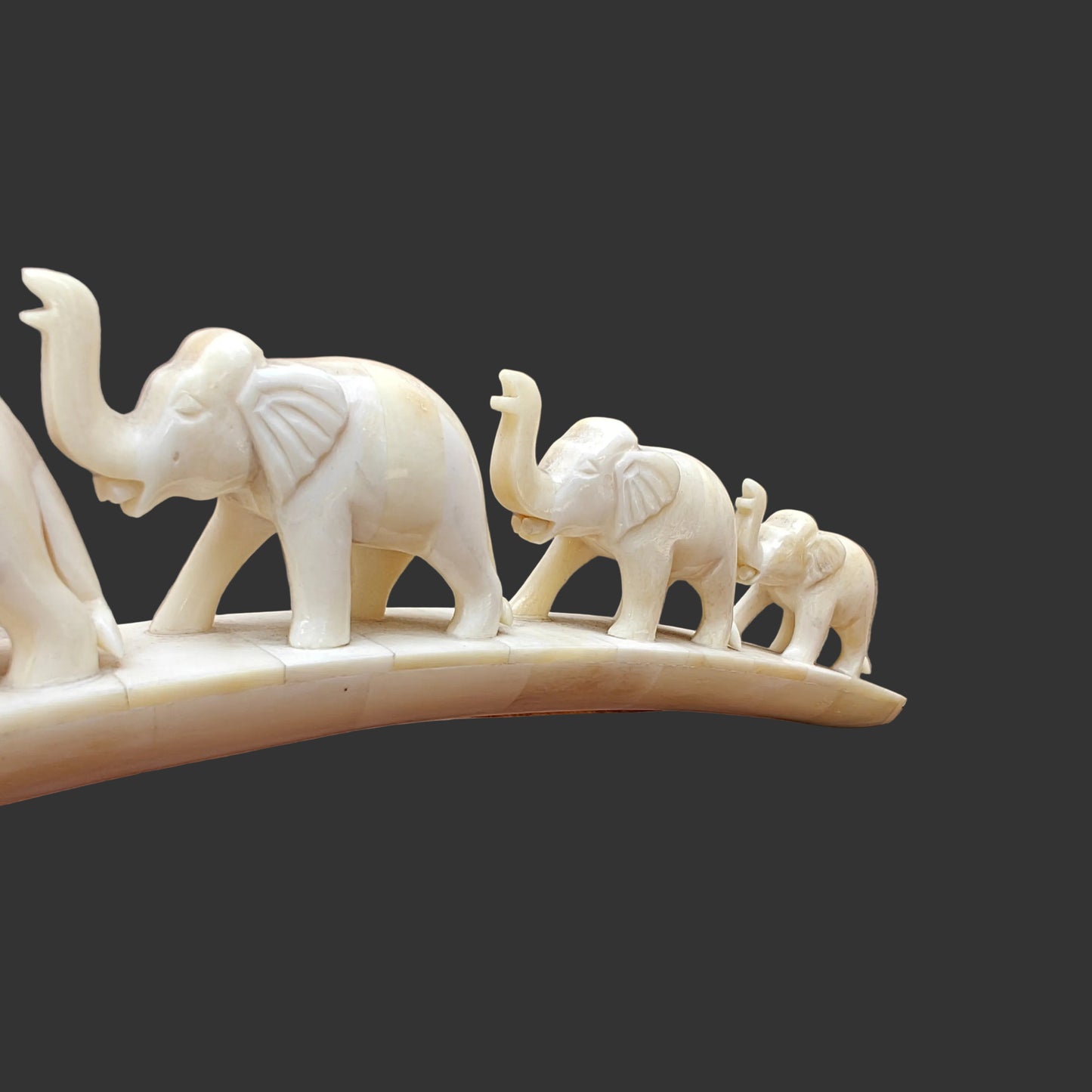 Detail of carved bone elephants in a row on arched base
