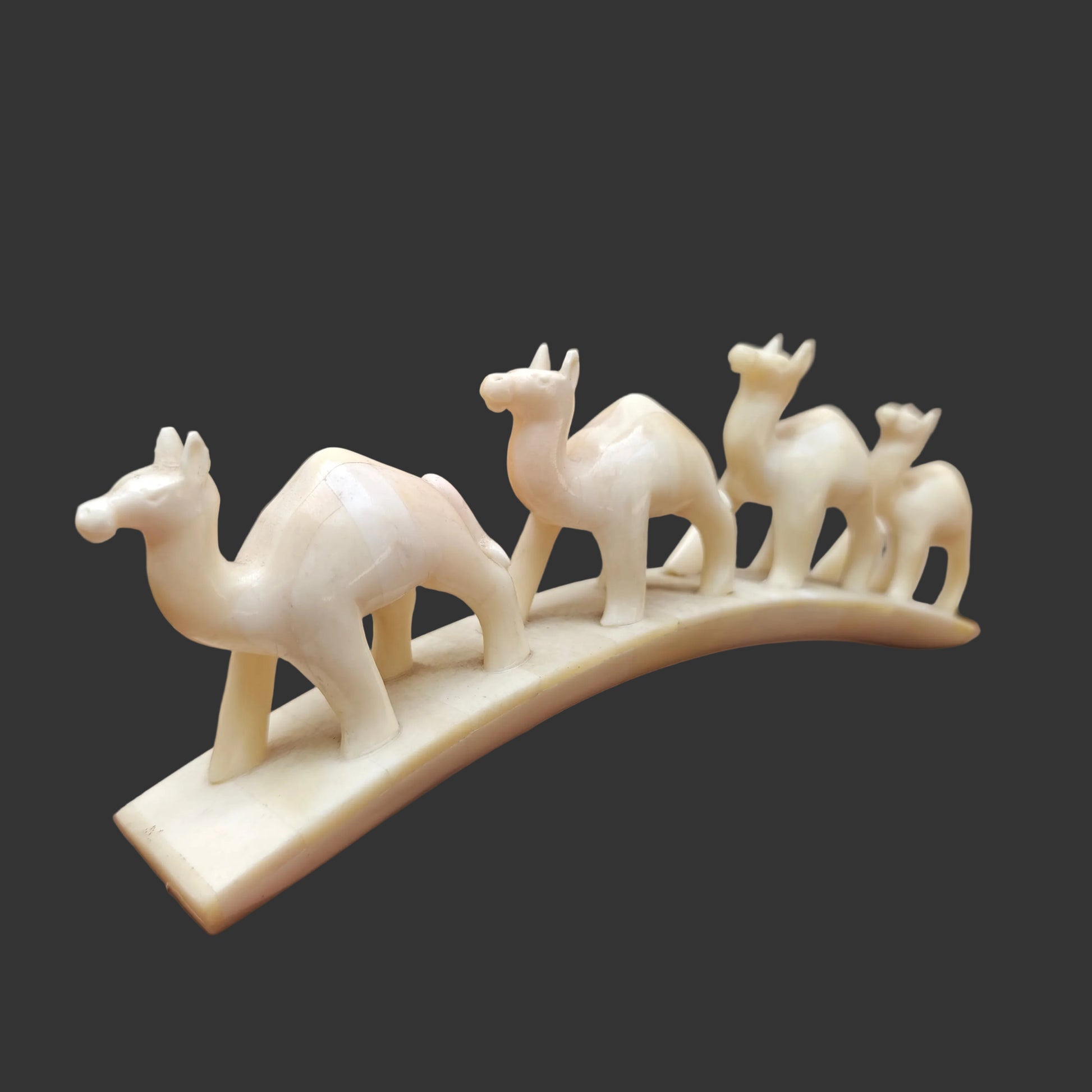 Carved bone four-camel parade on arched base displayed on wooden surface – front view-2