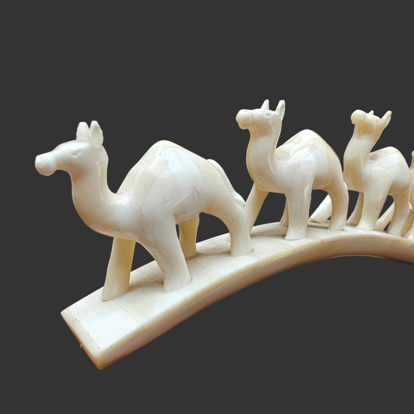 Carved bone four-camel parade on arched base displayed on wooden surface – front view-3