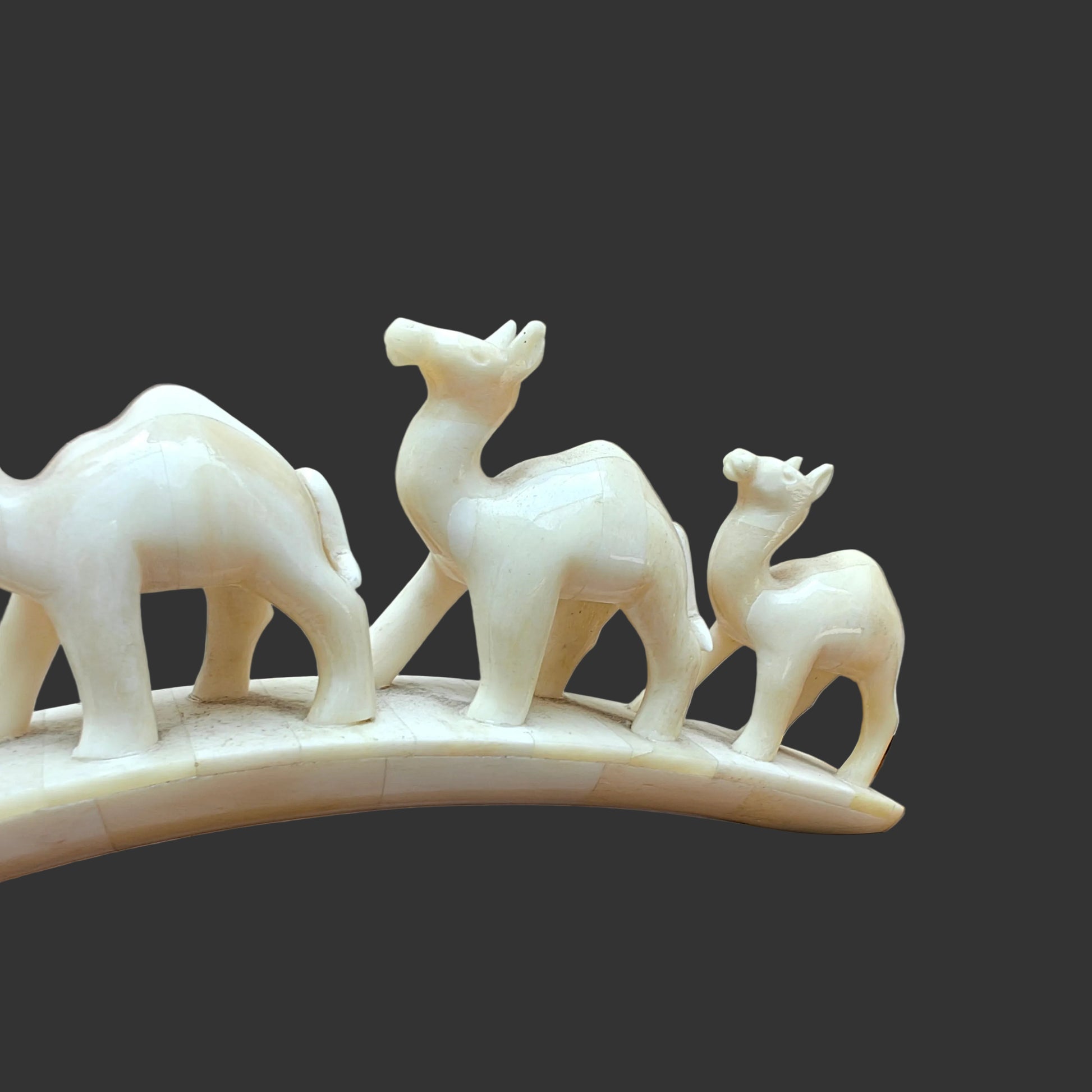 Carved bone four-camel parade on arched base displayed on wooden surface – front view-4