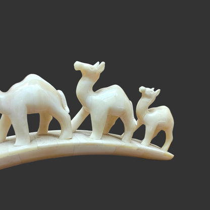 Carved bone four-camel parade on arched base displayed on wooden surface – front view-4