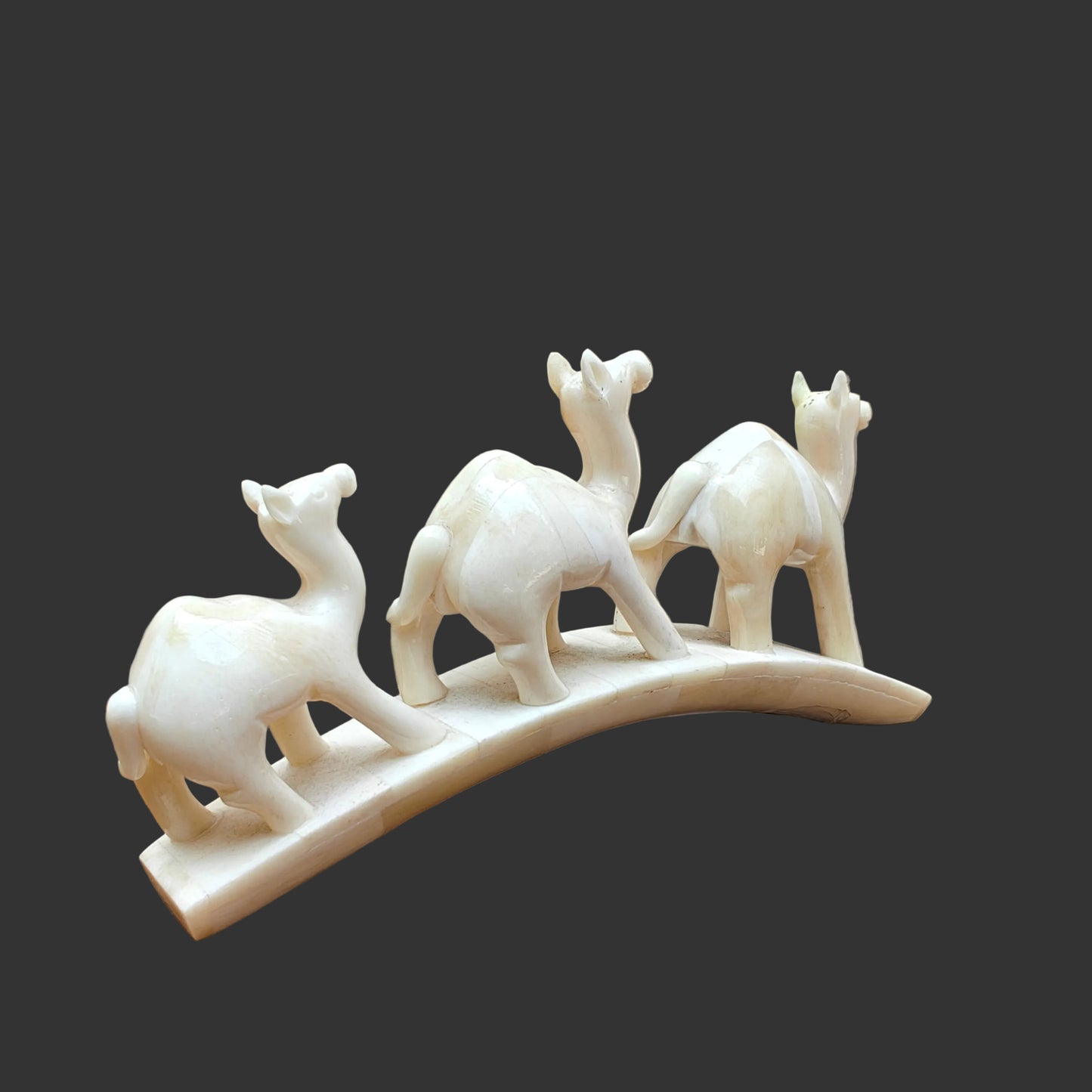 Carved bone three-camel parade on arched base displayed on wooden surface – front view-2