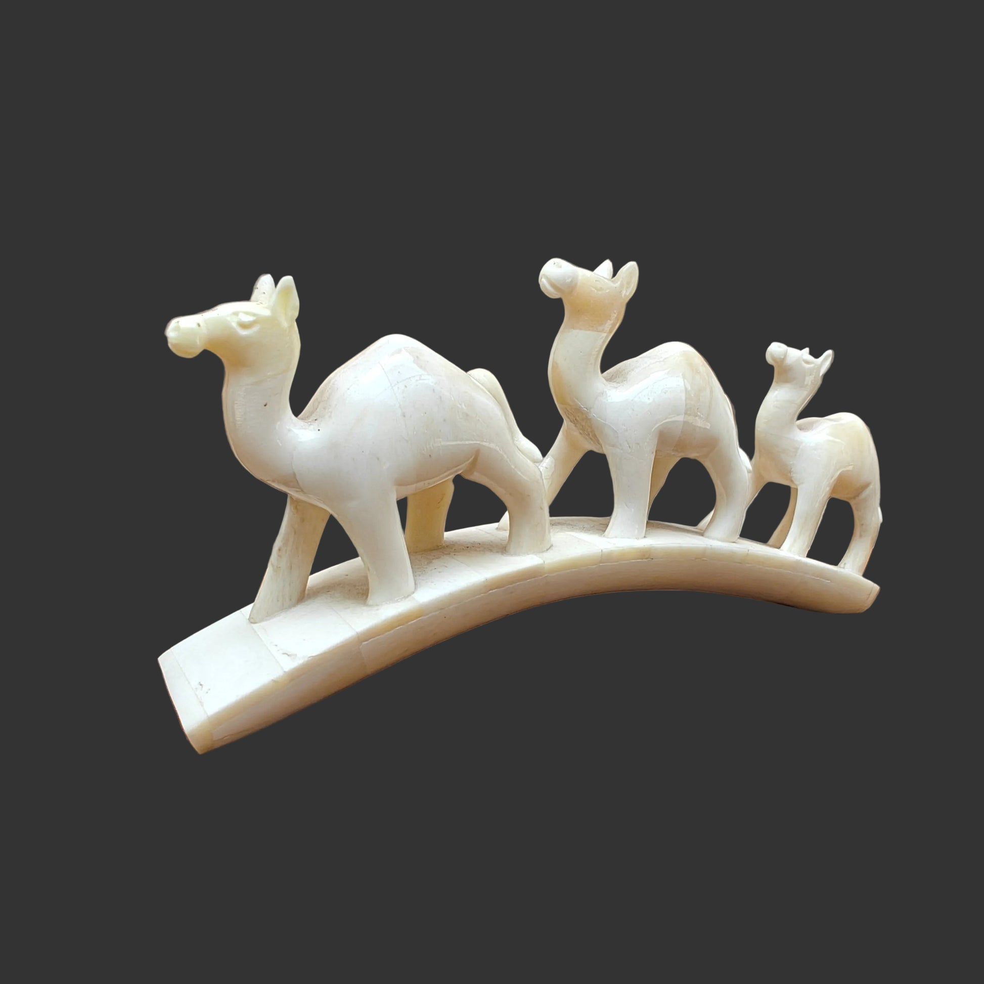 Carved bone three-camel parade on arched base displayed on wooden surface – side-1