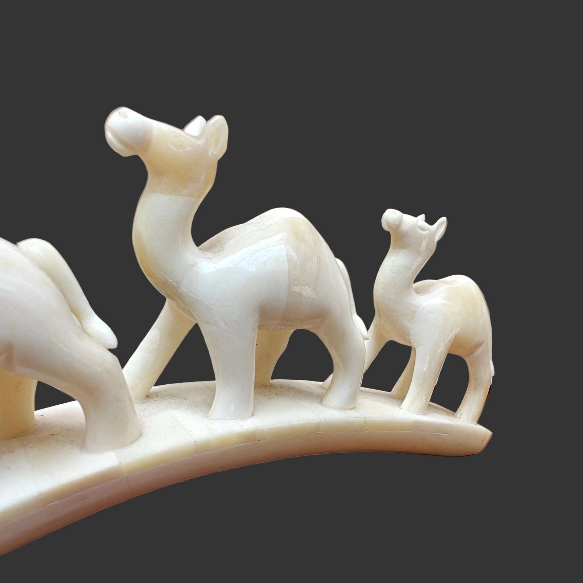 Carved bone three-camel parade on arched base displayed on wooden surface – side view