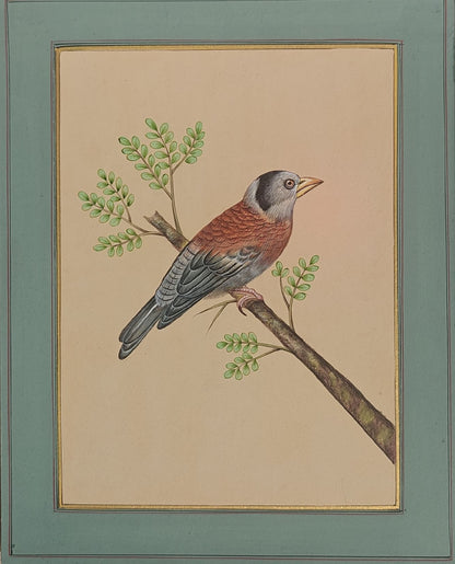 Mughal Miniature Bird & Botanical Painting | Hand-Painted on Paper | Indian Miniature Art | 8x10 inch