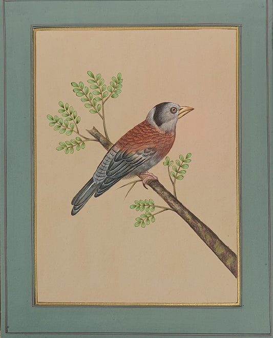 Mughal Miniature Bird & Botanical Painting | Hand-Painted on Paper | Indian Miniature Art | 8x10 inch