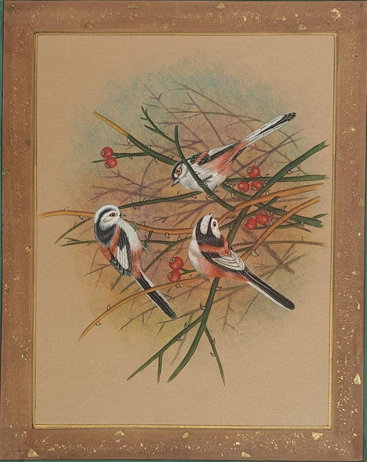 Mughal Miniature Bird Painting | Trio of Birds with Red Berries | Hand-Painted | 11x14 inch