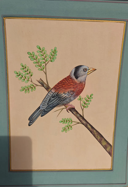 Mughal Miniature Bird & Botanical Painting | Hand-Painted on Paper | Indian Miniature Art | 8x10 inch